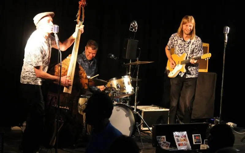 The Wieners voordelig boeken bij burolivemuziek.nl