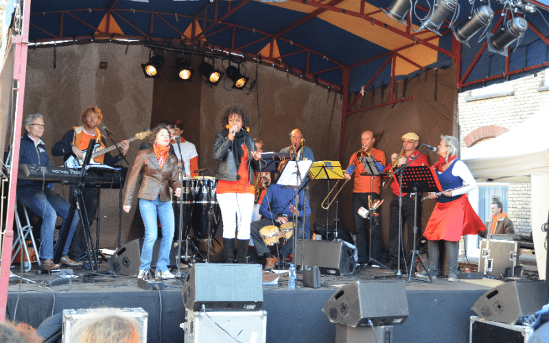 Nuevo Sabor Burolivemuziek.nl