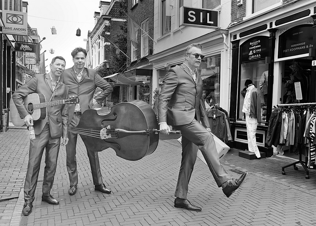 De Swingers boeken