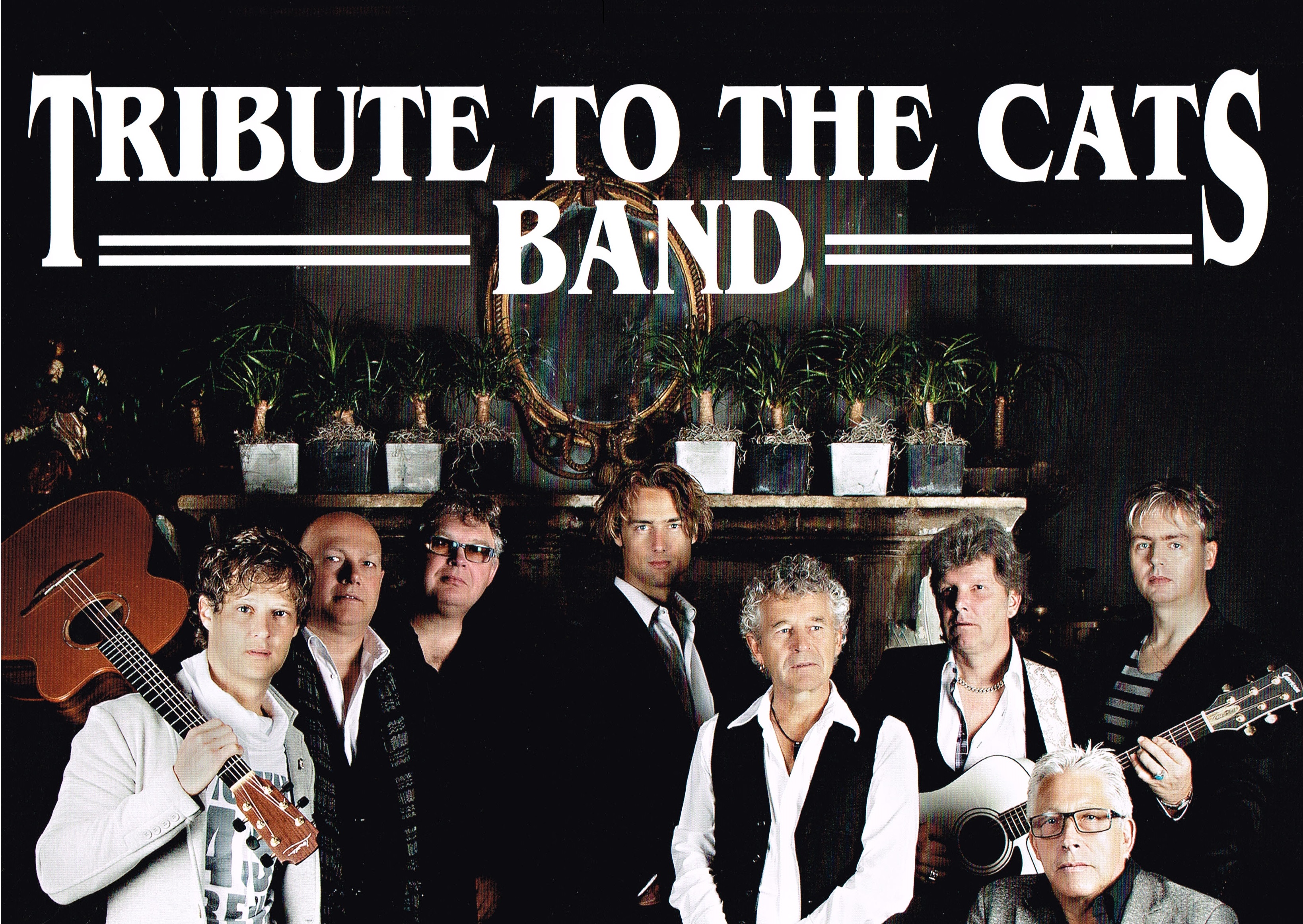 Tribute to the Cats band (Cats tribute) boeken