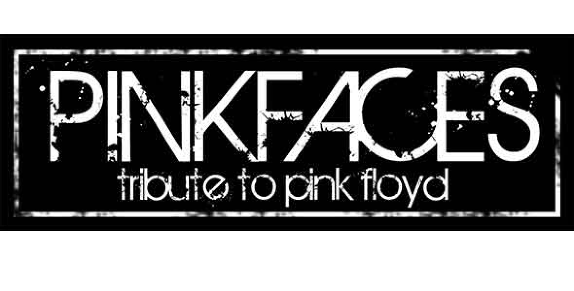 Pink Faces (pink floyd tribute) boeken