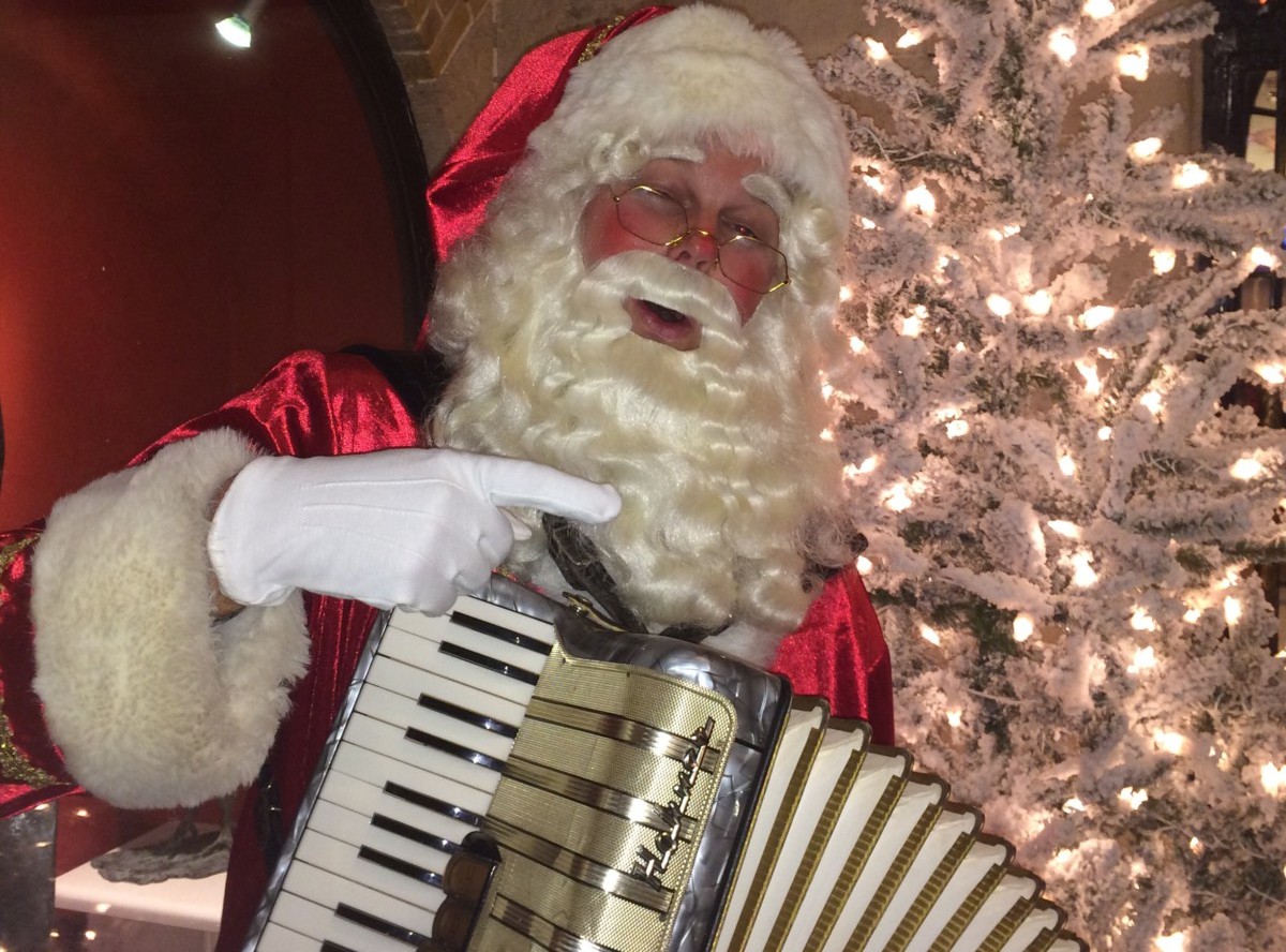 Kerstman met Accordeon boeken