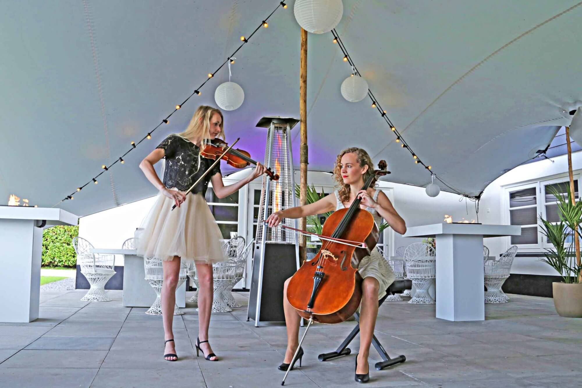 Little Symphony boeken