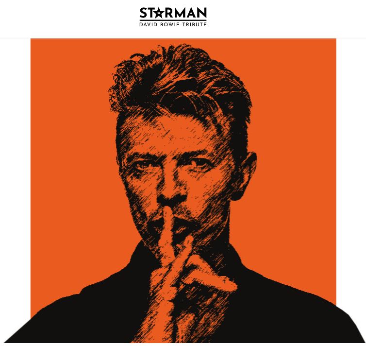 Starman NL: The Dutch David Bowie Tribute boeken